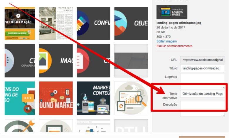 Texto Alternativo WordPress