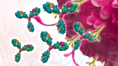 anticorpo monoclonal