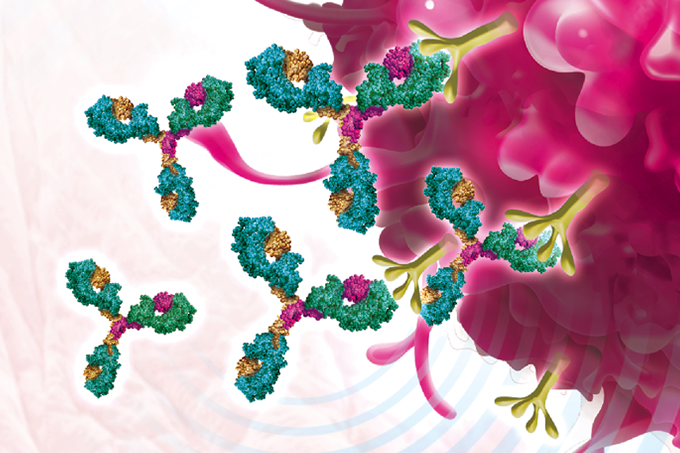 anticorpo monoclonal